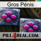 Gros Pénis 01